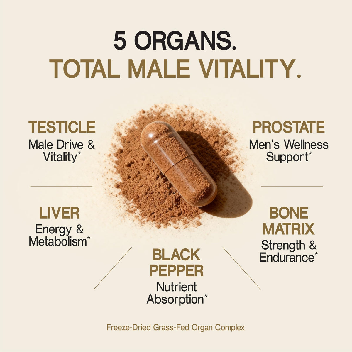 Détails de l'étiquette du flacon Primal Science Complément Alimentaire