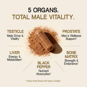 Détails de l'étiquette du flacon Primal Science Complément Alimentaire