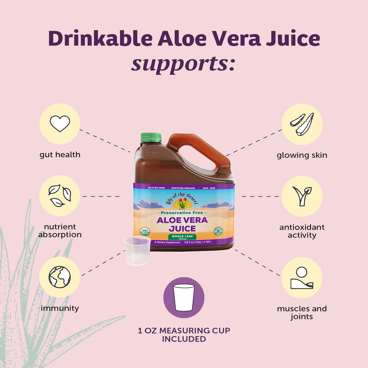 Détails de l'étiquette du jus d'aloe vera Lily Of The Desert