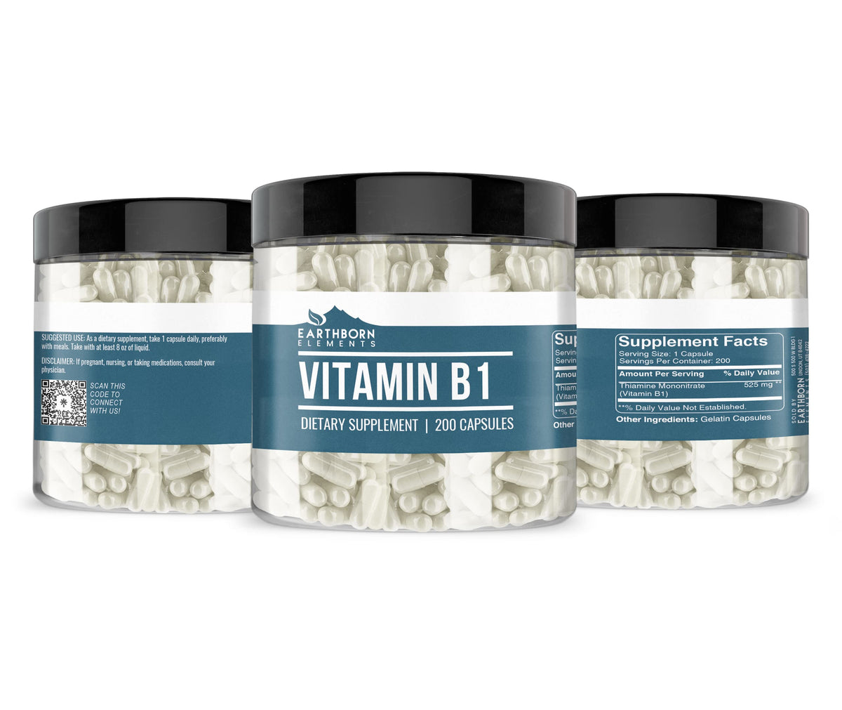 Détails de l'étiquette Earthborn Elements Vitamine B1 Mononitrate