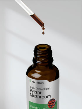 Détails de l'extrait de champignon Reishi Horbäach