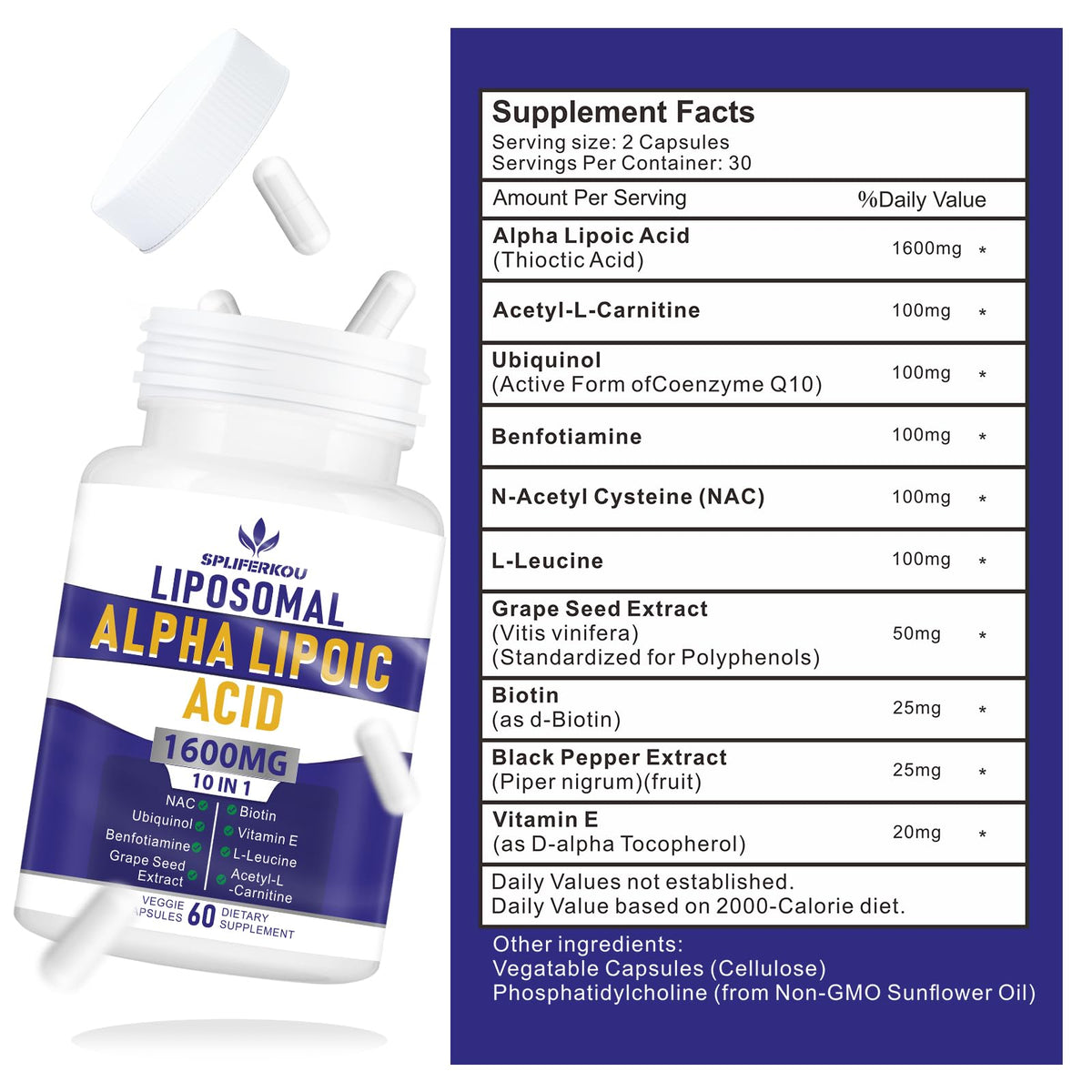 Détails de la boîte de Spliferkou Acide Alpha Lipoïque 1600mg