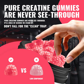 Détails de la bouteille de gummies de créatine monohydrate Natures Aid