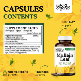 Détails de la capsule de mullein Wild & Organic avec extrait de feuille