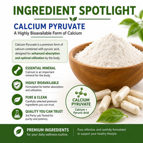 Détails de la composition des capsules de Calcium Pyruvate