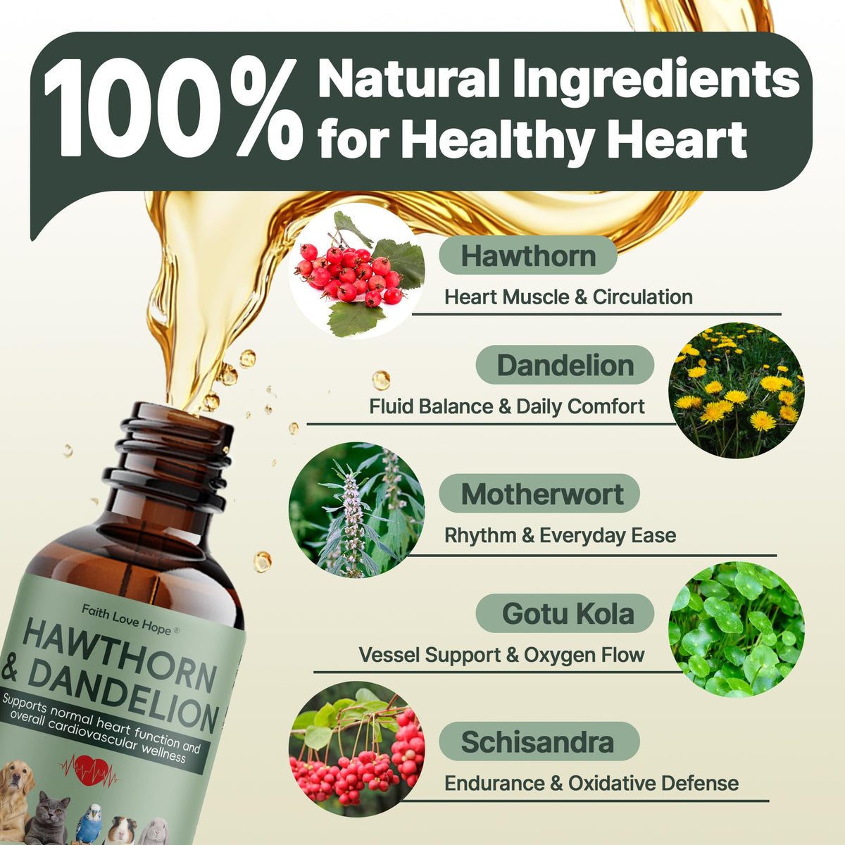 Détails de la composition du complément alimentaire Hawthorn
