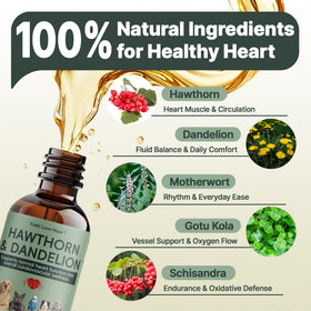 Détails de la composition du complément alimentaire Hawthorn