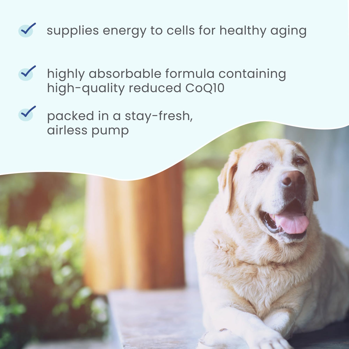Détails de la pompe airless Dr. Mercola Ubiquinol