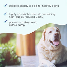 Détails de la pompe airless Dr. Mercola Ubiquinol