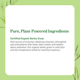 Détails de la Poudre de Jus d'Orge Bio PURE SYNERGY