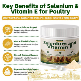 Détails de la poudre de sélénium et vitamine E IOUFCIY