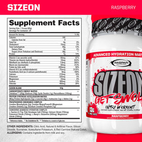 Détails de la poudre Gaspari Nutrition SizeOn Intra Workout