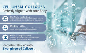 Détails de la technologie KOLLAGEN sur l'emballage