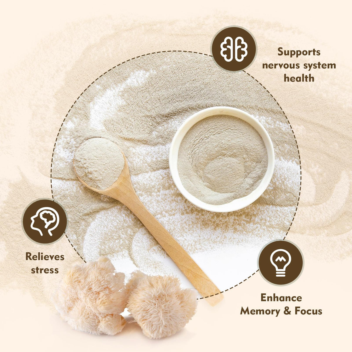 Détails de la texture de la poudre de champignon Lion's Mane ATNreuro