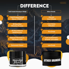 Détails de la texture de la résine de shilajit PakShilajit