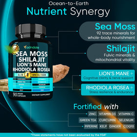 Détails des capsules Adndale SeaMoss Shilajit
