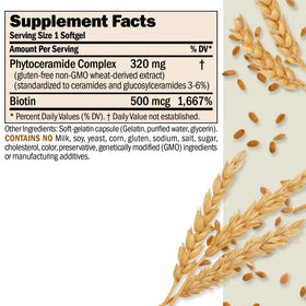 Détails des capsules ANDREW LESSMAN Phytocéramides