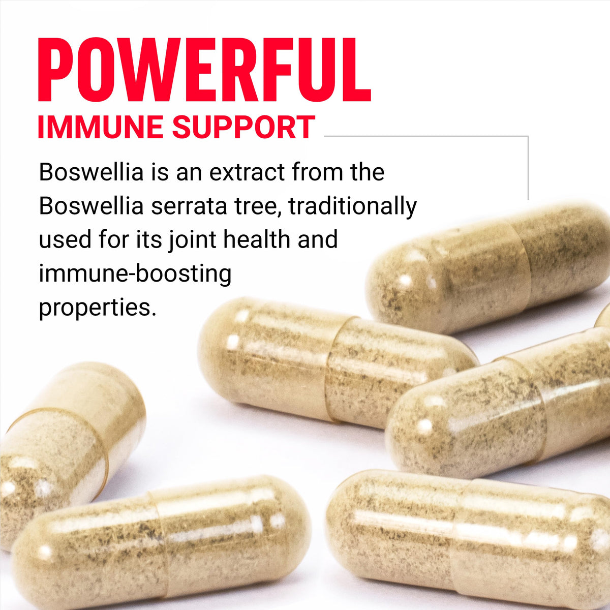 Détails des capsules d'extrait de boswellia Force Factor
