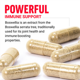 Détails des capsules d'extrait de boswellia Force Factor