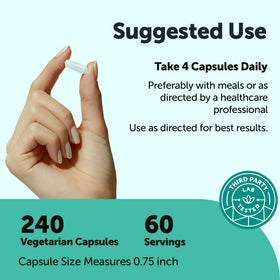 Détails des capsules de Acetyl L-Carnitine HCl de Micro Ingredients
