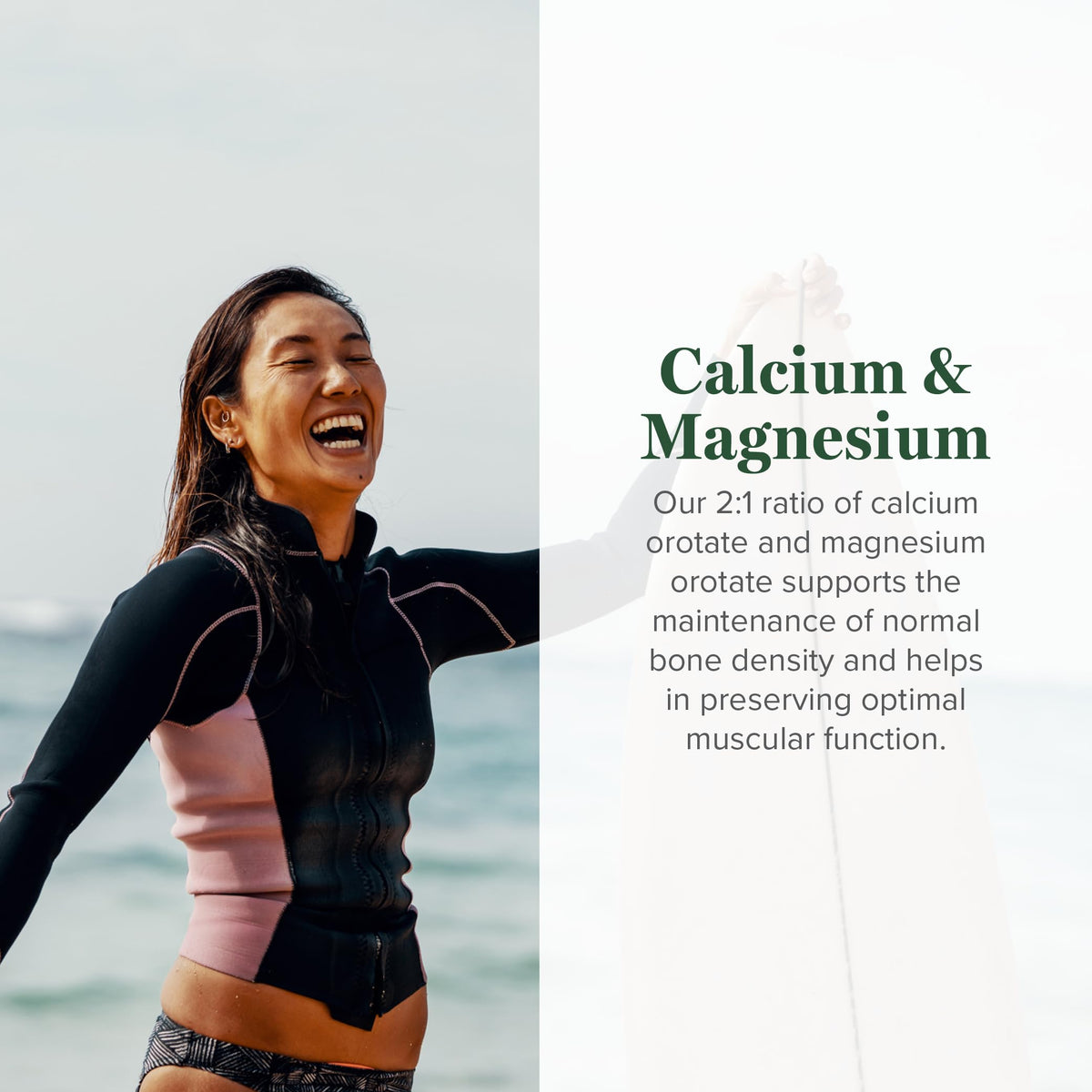 Détails des capsules de Calcium et Magnésium Orotate