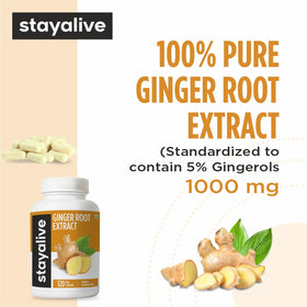 Détails des capsules de gingembre STAY ALIVE sur une main