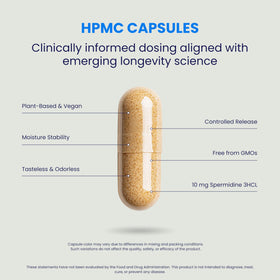 Détails des capsules de spermidine Chemist Labs avec étiquette
