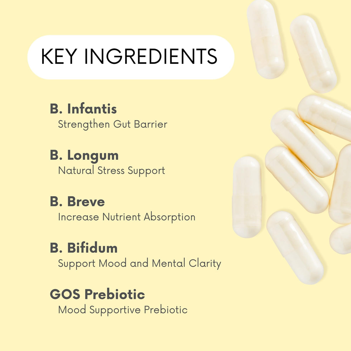 Détails des capsules Lifted Naturals Probiotiques