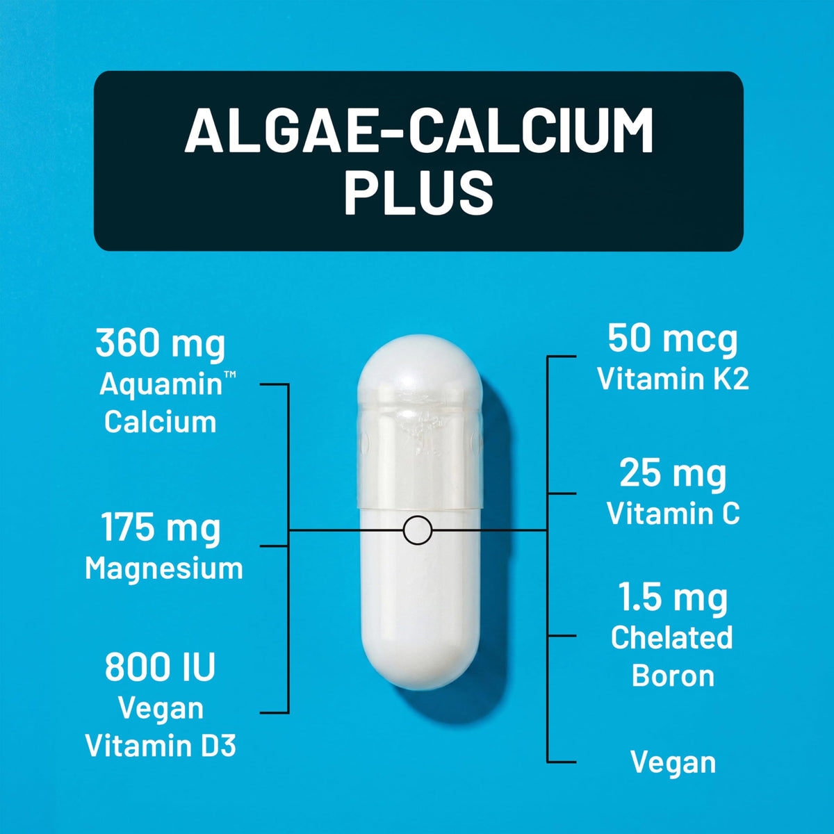 Détails des capsules NatureWise Algae Calcium Plus