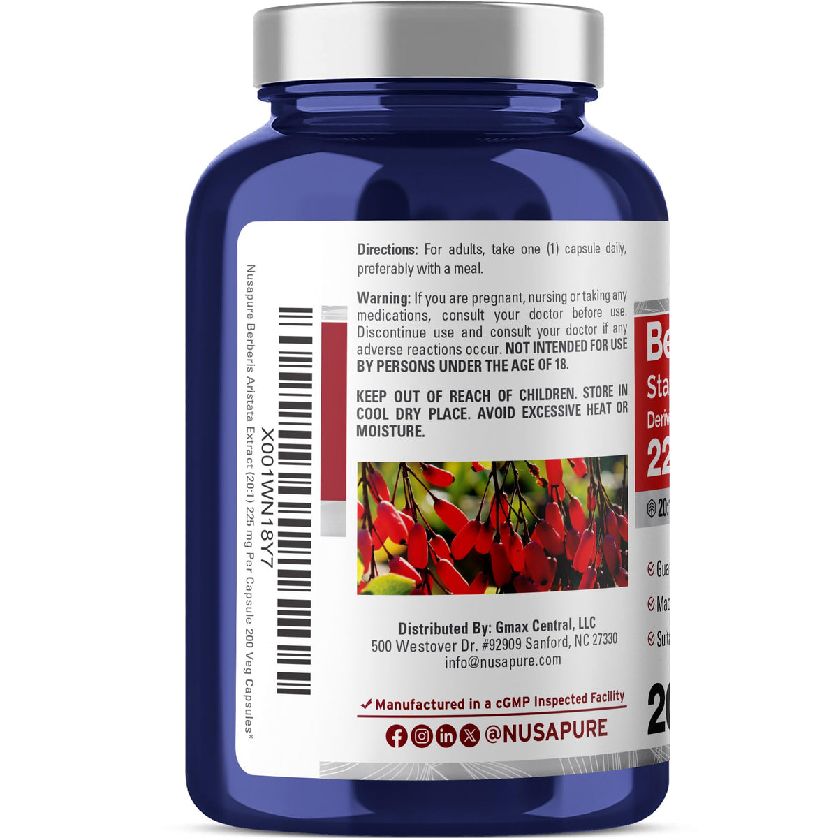Détails des capsules NusaPure Berberis Aristata, vue rapprochée