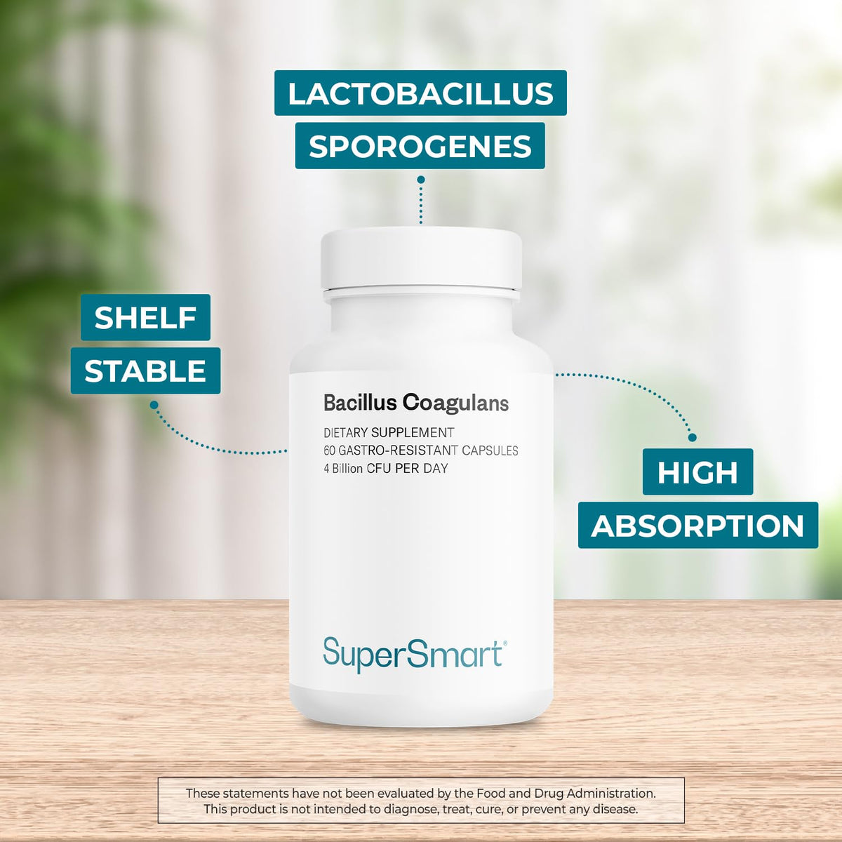Détails des gélules de Bacillus Coagulans, capsules végétales