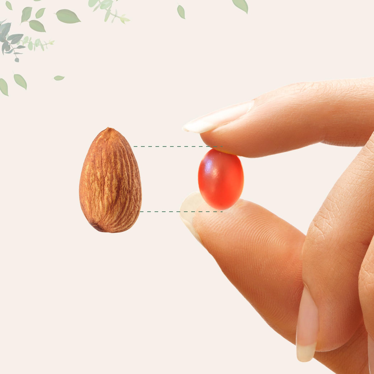 Détails des gélules de Mega Omega-3 Krill & Fish Oil de Micro Ingredients