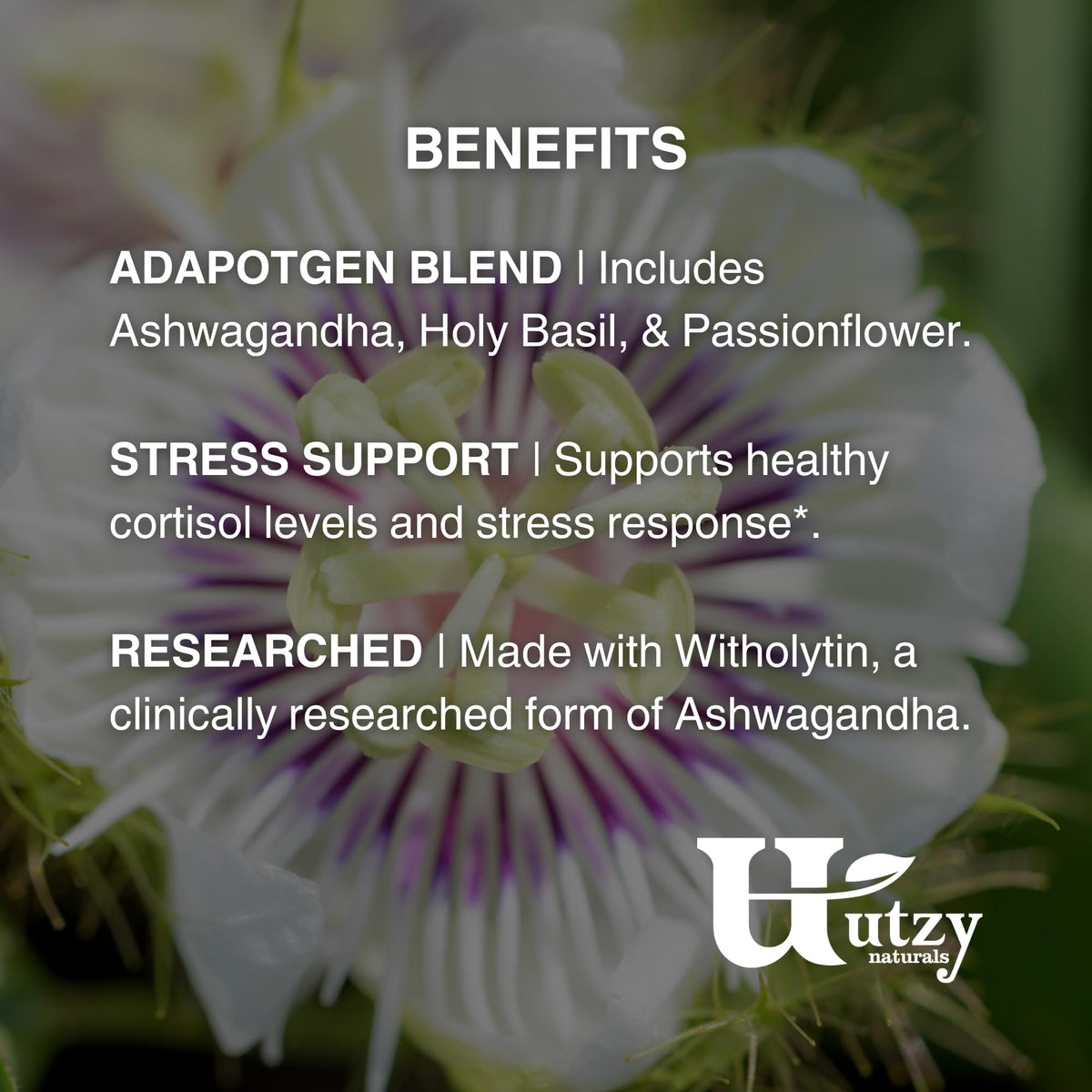 Détails des ingrédients d'Adapto-Calm Utzy Naturals