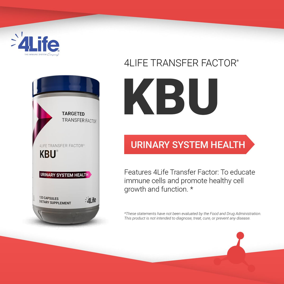 Détails des ingrédients de 4Life KBU Soutien Urinaire