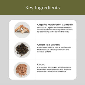 Détails des ingrédients de CYMBIOTIKA Liposomal Champignon
