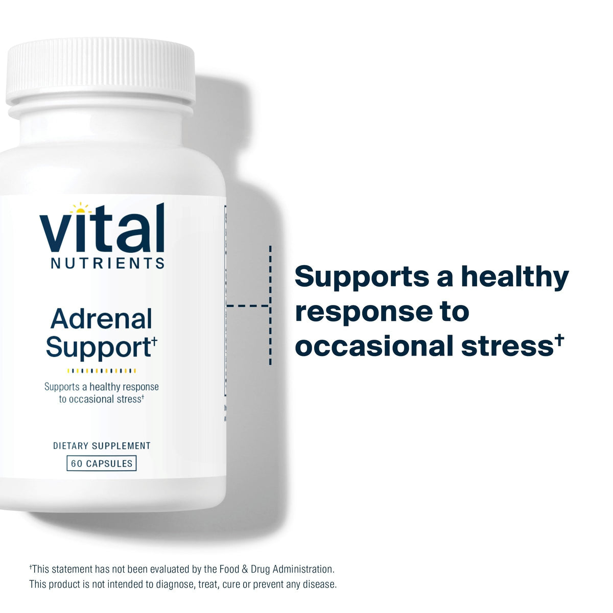 Détails des ingrédients de Vital Nutrients Complément Alimentaire Système Surrénalien