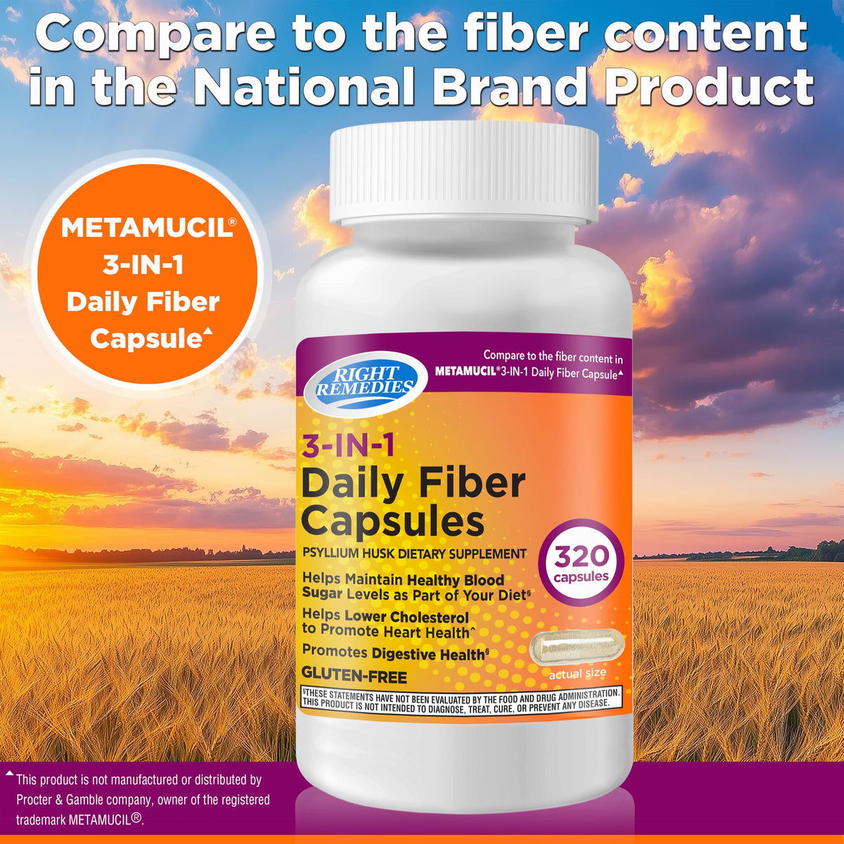 Détails des ingrédients des capsules de fibres psyllium RIGHT REMEDIES