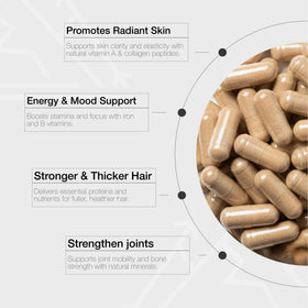 Détails des ingrédients des capsules de foie de boeuf Lonvera