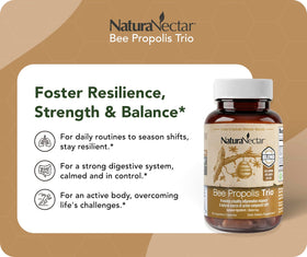 Détails des ingrédients des Capsules de Propolis NaturaNectar