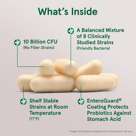 Détails des ingrédients des capsules Jarrow Formulas