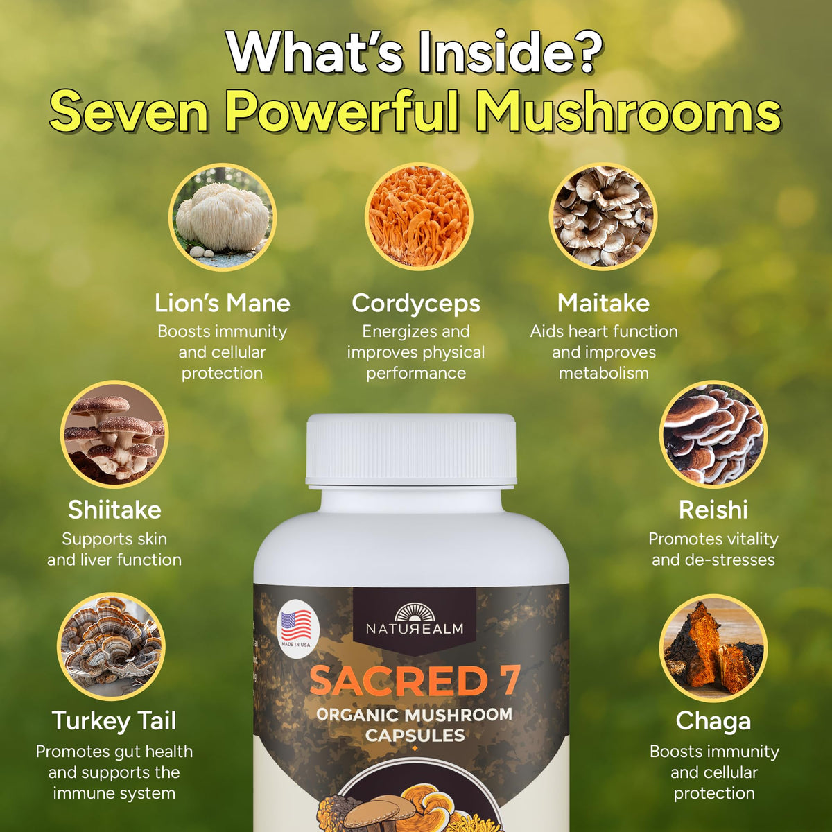 Détails des ingrédients des capsules Naturealm 7 Champignons
