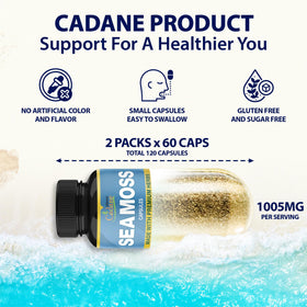 Détails des ingrédients des capsules Organic Cadane