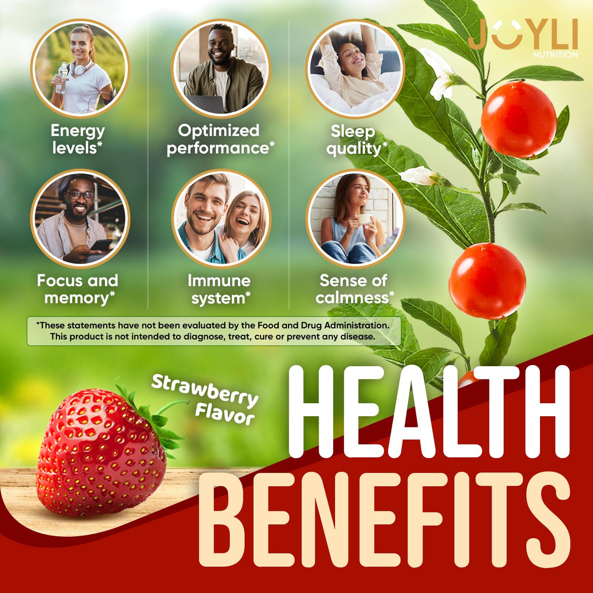 Détails des ingrédients des gummies Ashwagandha JOYLI Nutrition