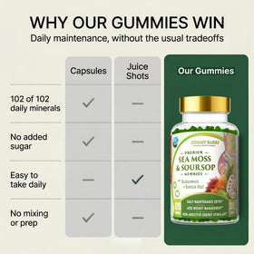 Détails des ingrédients des Gummies de Fucus et Soursop Gummy Bares