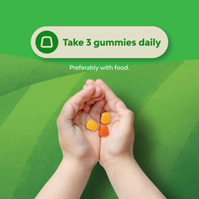 Détails des ingrédients des Gummies DHA Natures Craft