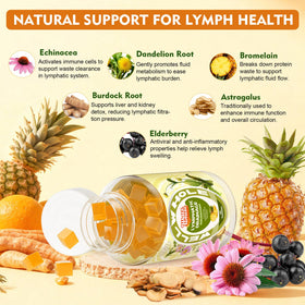 Détails des ingrédients des gummies drainage lymphatique Well&Whole