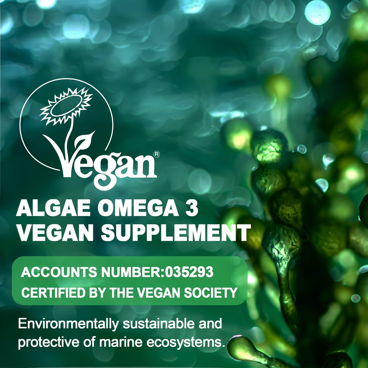 Détails des ingrédients des gummies Omega 3 LILICARE