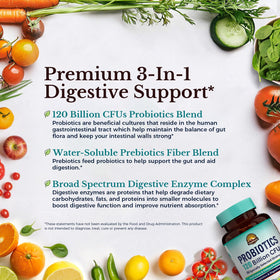 Détails des ingrédients des Probiotiques Vitalitown