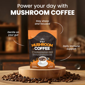 Détails des ingrédients du café de champignons bio SunLab Essentials