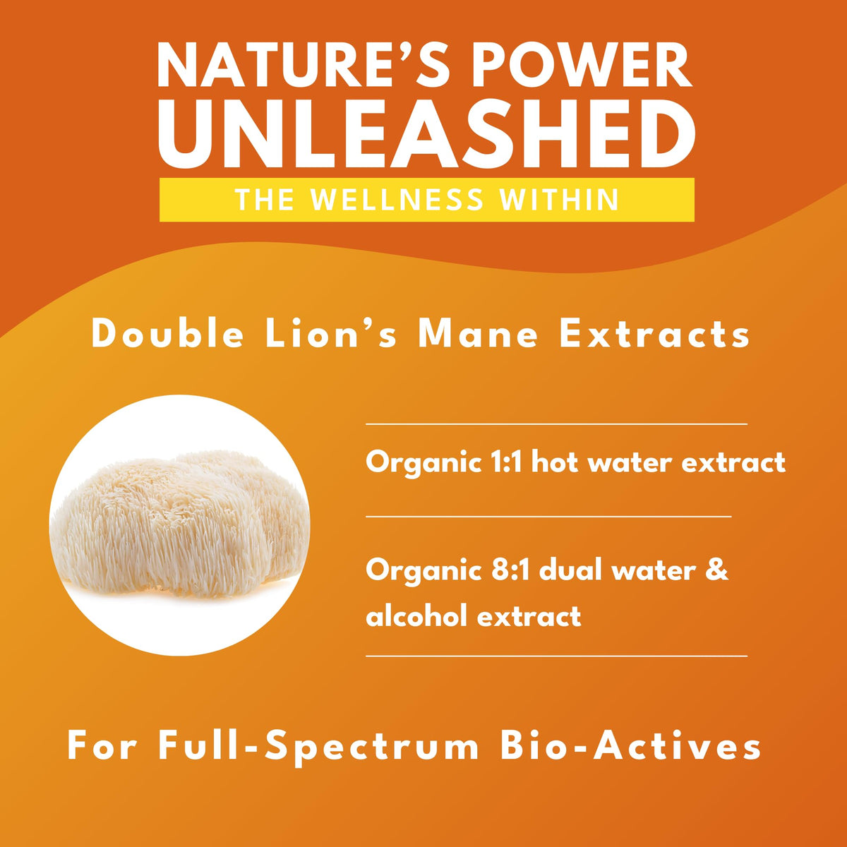 Détails des ingrédients du Champignon Lion's Mane Bio Bold Botanica